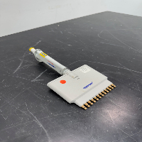 Eppendorf Research 300ul Multichannel Pipette image 0
